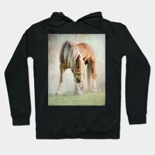 Gypsy in the morning mist Hoodie